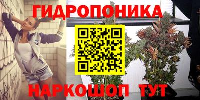 соль ск Пенза