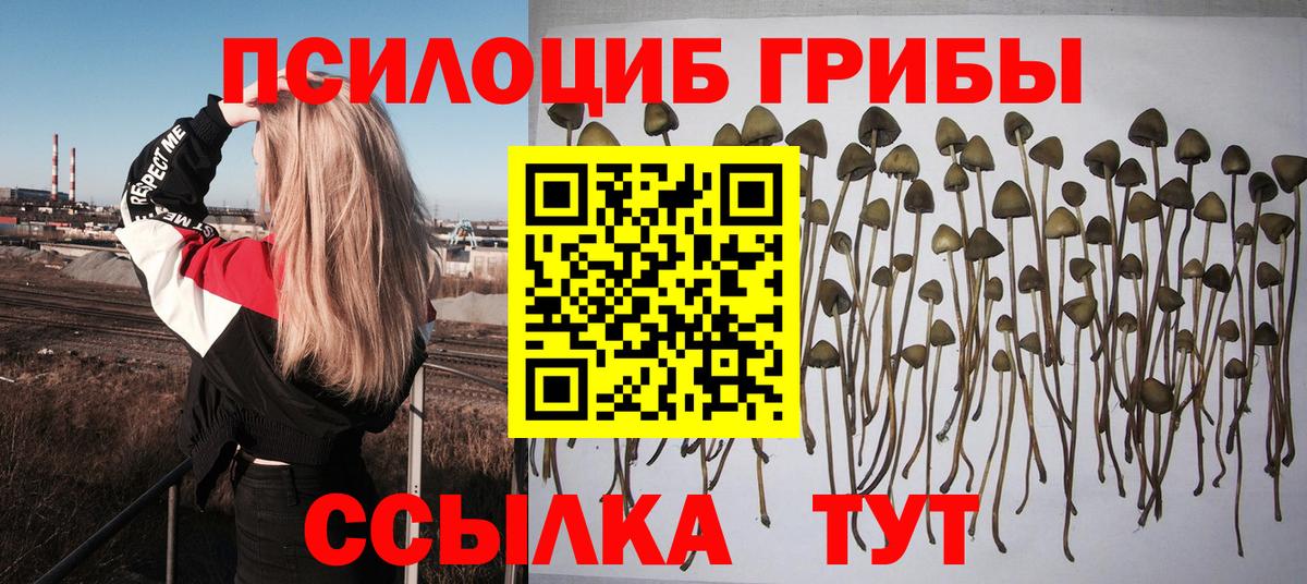 Псилоцибиновые грибы MAGIC MUSHROOMS Полевской