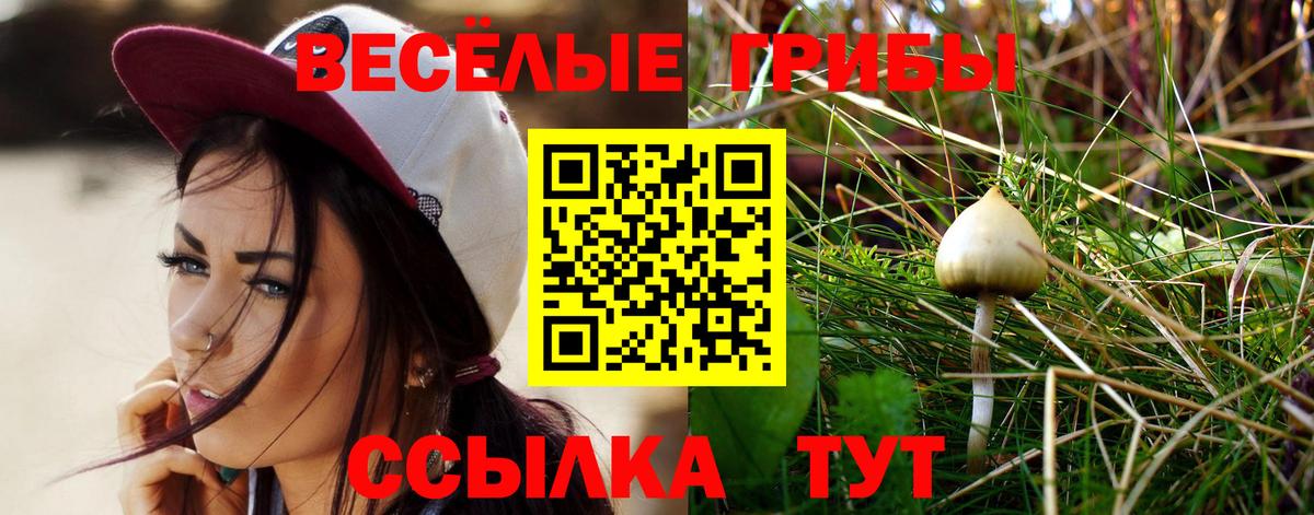 Галлюциногенные грибы мухоморы  Вход с VPN  Полевской 