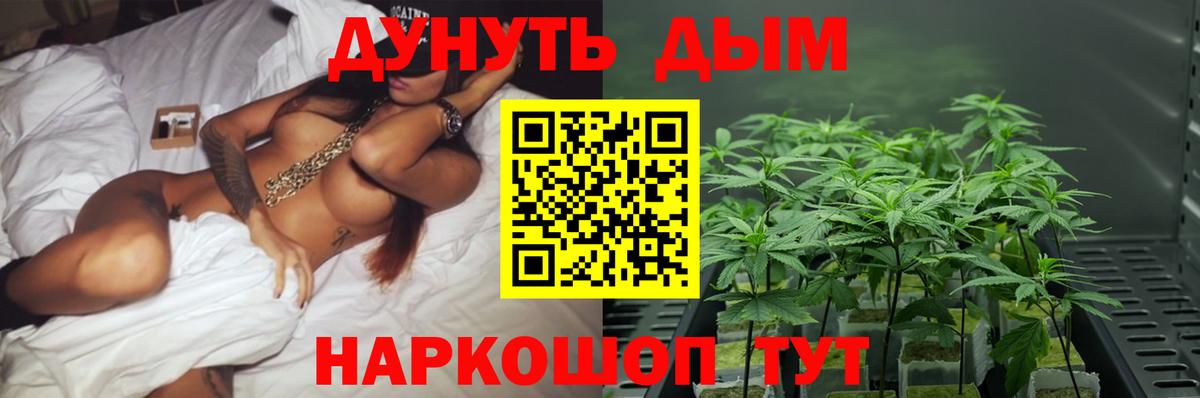 Каннабис AK-47  Вход с VPN  МАРИХУАНА семена  Конопля гибрид  Полевской 